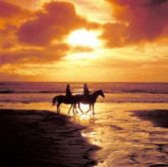 Featured is a photo of a couple riding horseback on the beach at sunset ... one of the ultimate "Lifestyle" experiences. 
